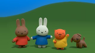 Miffy’s World Miffy is getting her puppy 🐶 tomorrow miffy bunny rabbit puppy cute [upl. by Ille]