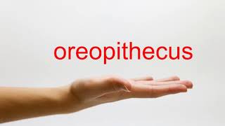 How to Pronounce oreopithecus  American English [upl. by Robaina407]