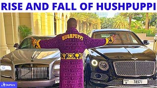 Everything You Need To Know About HUSHPUPPI  Background Source of Wealth  Arrest and More [upl. by Amiarom637]