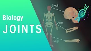 Joints  Physiology  Biology  FuseSchool [upl. by Cherish]