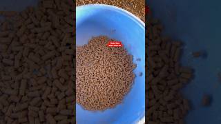 Biomass pellets machine ￼biomasspelletmachine [upl. by Chico]