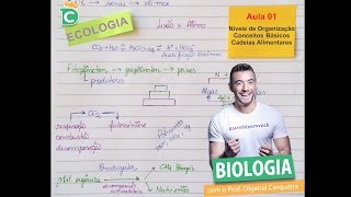 Ecologia  Aula 01 Níveis de organização conceitos cadeias teias e energia [upl. by Kartis907]