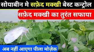 सोयाबीन मे सफ़ेद मक्खी को कैसे कंट्रोल करें  How to control white fly  सफ़ेद मक्खी की दवाई [upl. by Benedetta]