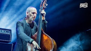 Avishai Cohen Trio  Jarasum Intl Jazz Festival 2017 [upl. by Alys]