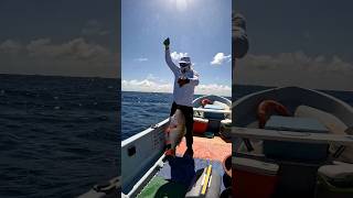 Pesca con línea a mano 🎣 puntaallenfishing pargo snapper vigiachico puntaallenmexico pesca [upl. by Lasyrc]