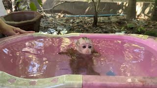 Max Is Learn To Swimming In Tub After He Always Scare Water [upl. by Meade]