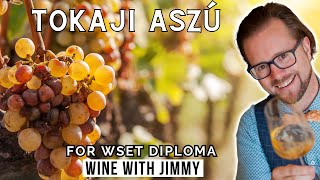 Tokaji Aszú Explained for WSET Level 4 Diploma [upl. by Kcirevam]