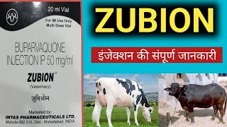 Zubion इंजेक्शन की संपूर्ण जानकारी  zubion injection uses in hindi  butalex injection Review [upl. by Assirehs]