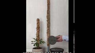 Trofolia StraightUp Moss Poles [upl. by Marjie511]