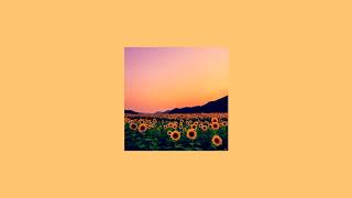 Rex Orange County  Sunflower  slowed [upl. by Assirrec]