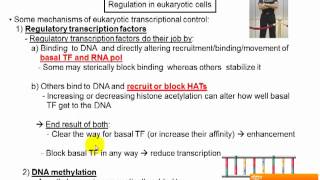 Lecture 7Part IEukaryotic gene expression controlmp4 [upl. by Ebehp]