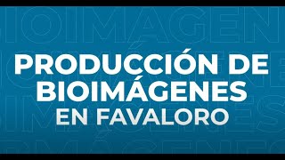 Producción de Bioimágenes en Favaloro [upl. by Seditsira]