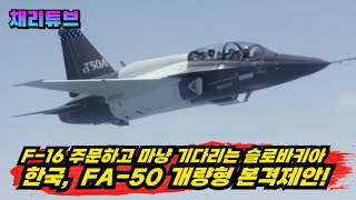 韓 모든 전투를 우크라에 지원한 슬로바키아에 FA50 경전투기 본격제안 [upl. by Petromilli443]