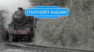 Scenic Steam Railway Journey Through Strathspey [upl. by Ainex]