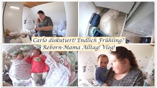 Carlo diskutiert  Alltag als Rebornmama  Vlog  Reborn Baby Deutsch  Little Reborn Nursery [upl. by Jemine]