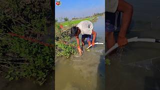 😲How to fish with arrow bowpart54 ikan busur peşte ikan shorts vairal channa [upl. by Lindahl615]