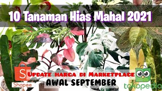 10 Tanaman Hias Paling Mahal 2021  Update Harga Bulan September [upl. by Enibas872]