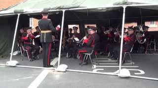 Irish Defence Forces Army No 1 Band [upl. by Edahs]