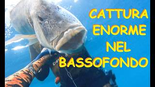 Dentice ENORME nel bassofondo Come ho catturato un mostro di 7 Kg a Pesca Sub fishing fish [upl. by Helfant]