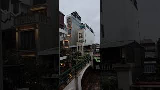 TYPHOON YAGI right now hits Hanoi the capital of Vietnam Severe wind crushes mighty trees 1st sec [upl. by Hgeilyak]