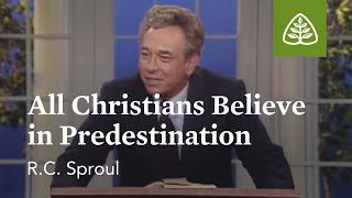 All Christians Believe in Predestination The Classic Collection with RC Sproul [upl. by Suoivatram754]