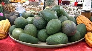 2014 Avocado Festival in Kona Hawaii [upl. by Yotal]