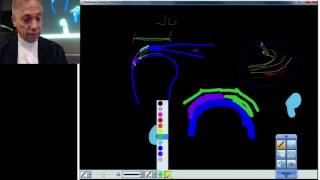 Anatomy of the Rotator Cuff Part 2 [upl. by Gurolinick227]