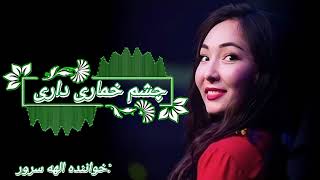 آهنگجدیدهزارگی الهه سرور چشم خماری داری😍🫴 newhazaragisong ElahaSoroor Chashme Khomari Dari [upl. by Maddi]