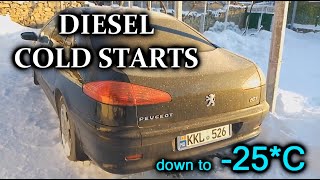 25 degree Diesel cold starts  compilation Uruchamianie silnika diesla na mrozie zimą S4E70 [upl. by Nohsyt]