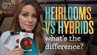 Heirlooms Vs Hybrids whats the difference What are open pollinated F1 non GMO [upl. by Aidul]