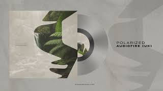 AudioFire  Polarized Extended Mix Siona Records [upl. by Supat]