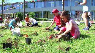 Klimaschutz für München Menzing soll grüner werden [upl. by Odelia]