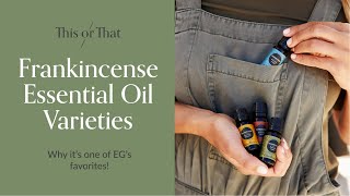 Frankincense Essential Oils Why Its One Of EGs Favorites [upl. by Borlase460]