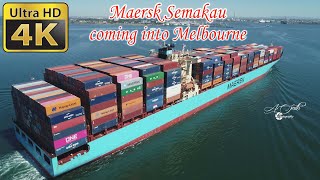 Maersk Semakau [upl. by Eddana209]