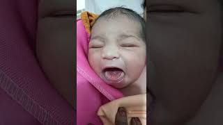 😍🥳 ytshortsvideo newlyborn littlebaby [upl. by Reviere]