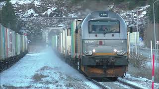 02112023  Bjerka mix togtrafikk trainspotting cargonet br159 eurodual vossloh [upl. by Norre625]