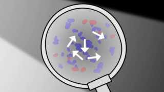 What is Brownian motion  Chemistry for All  The Fuse School [upl. by Ultima]