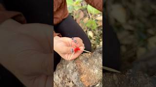 Survival Skills Single mom show SMART idea and USEFUL in forest camping bushcraft outdoor [upl. by Cutcheon373]