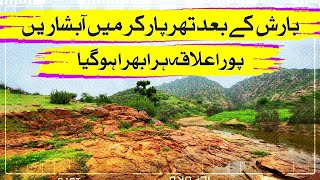 Barish kay baad tharparkar main absharen Pura elaqa hara bhara hogiya  SAMAA ORIGNAL [upl. by Selemas]