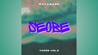 Database  SEOBE Tapes vol 2 RAW [upl. by Burrton]