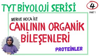 TYT BİYOLOJİ PROTEİNLER tyt yks [upl. by Anitnuahs519]