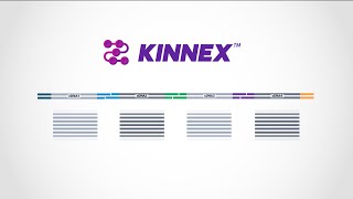 Kinnex explained—how concatenating smaller amplicons increases throughput for PacBio HiFi sequencing [upl. by Peltier]