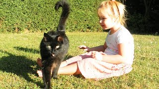 VLOG On joue avec le chat Ficelle dehors  Playing with our cat  Outoor [upl. by Fabian864]