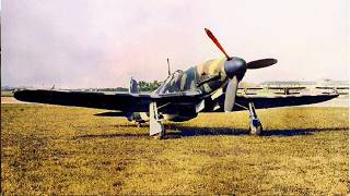 The Plane That Was Meant to Win the War but Hitler Ignored [upl. by Nylitsirk]