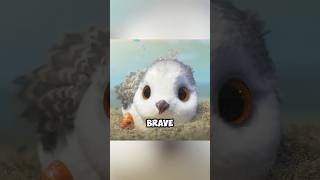 The Growth of Seabirdsmovie funny shorts [upl. by Eoz]