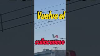 El culiacanazo lospshorts narcos culiacan ejercitomexicano narcosmexico [upl. by Enirahtac184]