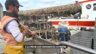 Découvrez le homard bleu du Cotentin [upl. by Eveivenej]