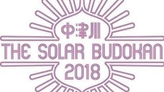 ストレイテナー  THE SOLAR BUDOKAN 2018 VIDEO GLITH amp VHS [upl. by Hanako]