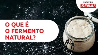 O que é o fermento natural e como fazer levain do zero – CANAL SENAIPADACON [upl. by Llenrag]