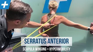 Serratus Anterior Exercises for Winging Scapula and Hypermobility  Tim Keeley  Physio REHAB [upl. by Glad533]